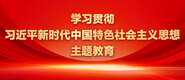 啊啊啊啊啊屄学习贯彻习近平新时代中国特色社会主义思想主题教育_fororder_ad-371X160(2)